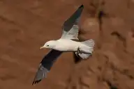 6712