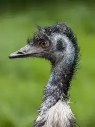 6724