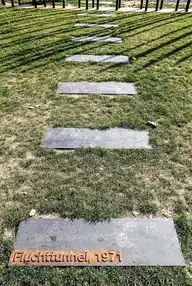 67491