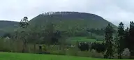 67748