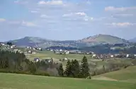 67887