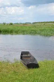 68326