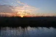 68330