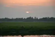 68334