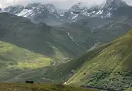 68352