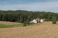 68556