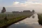 68564