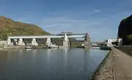 68629