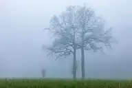 6870