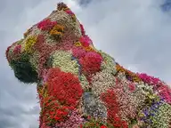 68771