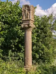 68818