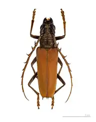 691