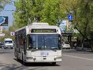 69271