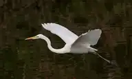 6937