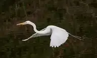 6938