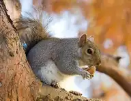 6944