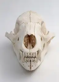 69483