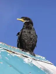 69569