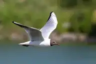 69661