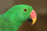 6982