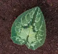 69849