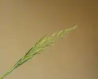 70360