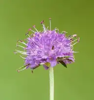 70401
