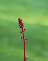 70503
