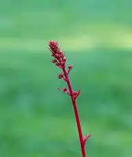 70504