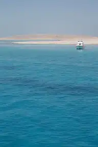 71416