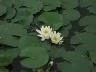 71850