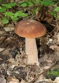71897