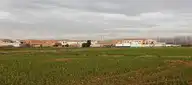 72393
