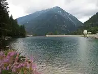 72449