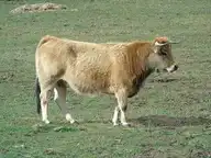 72764