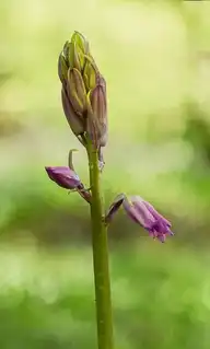 72798