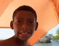 73335