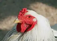 73482