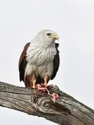 73488