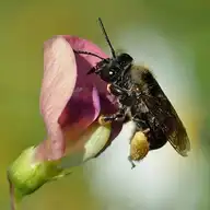 7360