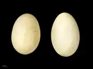 73644