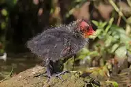 7381