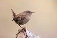 7388