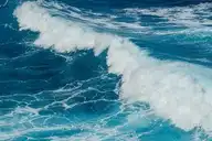 73901