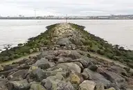 73907