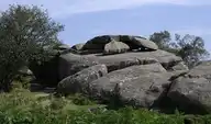 74833