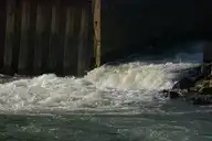 74918