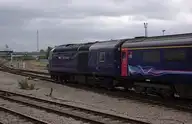 74955