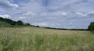 74978