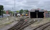 74981